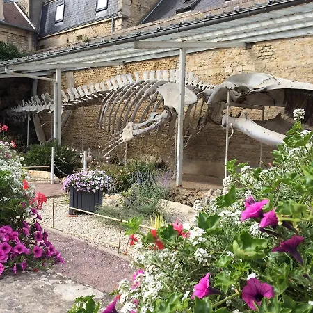 L'escalier Rouge - Maison Renovee Avec Cour