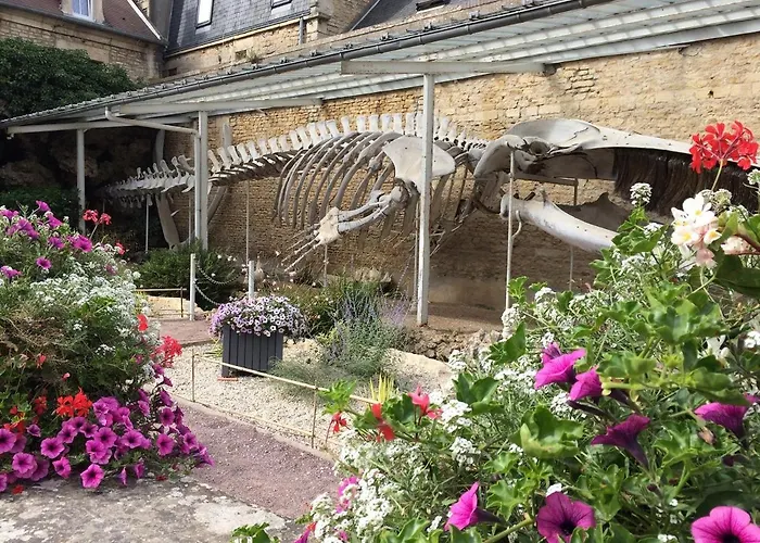 L'escalier Rouge - Maison Renovee Avec Cour